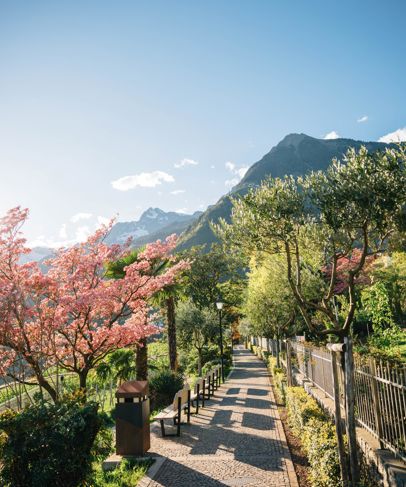 Frühling in Dorf Tirol