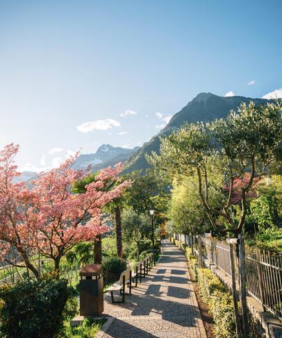 Frühling in Dorf Tirol