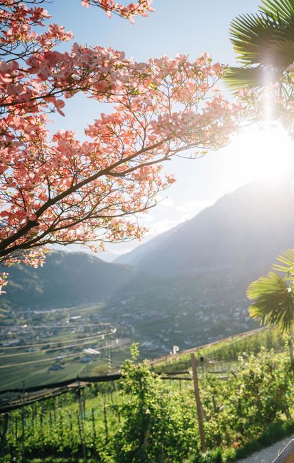 Frühling in Dorf Tirol